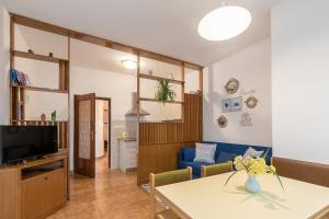 Televízia a/alebo spoločenská miestnosť v ubytovaní Apartment Soleil
