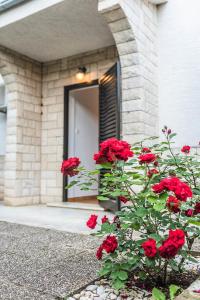 Fotografia z galérie ubytovania Apartment Soleil v destinácii Crikvenica