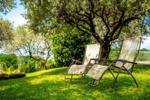 SuseganaにあるGATTO IN VIGNAのギャラリーの写真