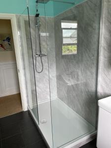 y baño con ducha y puerta de cristal. en Dartmoor Apartments, en Moretonhampstead