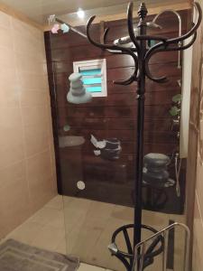 łazienka z prysznicem i wieszakiem na ręczniki. w obiekcie Ti' case la plaine w mieście La Plaine-des-Palmistes