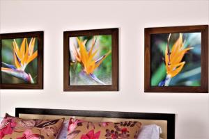 Foto sihtkohas Pereira asuva majutusasutuse Amazilia Hotel galeriist