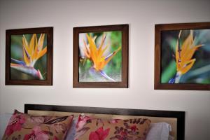 Foto sihtkohas Pereira asuva majutusasutuse Amazilia Hotel galeriist
