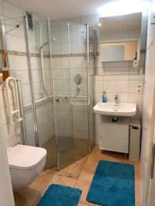 a bathroom with a shower and a toilet and a sink at Ferienwohnung Oberstdorf in Oberstdorf