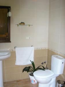 un baño con inodoro y lavabo en Casa de La Paca, en Coca 55 fotos más