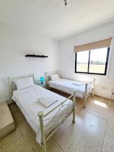 Gallery image of 2 bedroom townhouse, close to Paphos harbour, use of onsite facilities in Paphos