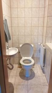 Koupelna v ubytování Apartmán Kraslice