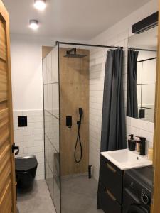 ein Bad mit einer Dusche, einem WC und einem Waschbecken in der Unterkunft Studio Rynkowa in Stettin