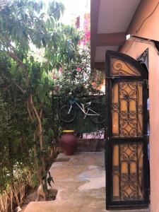 a bike leaning against a wall next to a garden at Flashback House in Marrakesh