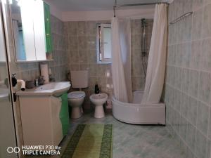 a bathroom with a tub and a toilet and a sink at Casa Daiana in Borsa