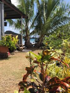 un jardín con árboles y plantas y una casa en Toa Lodge Bora Bora, en Bora Bora