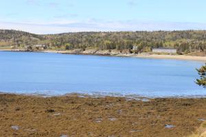 a view of a large body of water at Adventure High Cabin in Seal Cove +2 photos