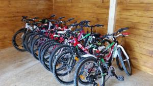 Attività di ciclismo presso l'hotel o nelle vicinanze