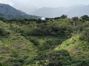 a field with a building on the side of a hill at VíaLáctea Glamping in Loja