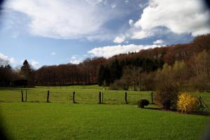 Táj Show holiday homes közelében