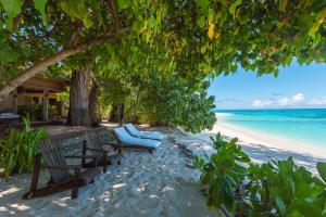 einen Strand mit Stühlen und einem Baum und dem Meer in der Unterkunft Denis Private Island Seychelles in Denis Island