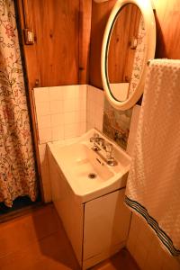 a bathroom with a sink and a mirror at Kings Houseboats in Srinagar