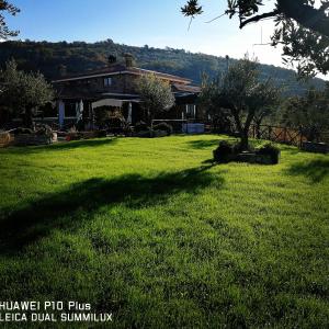 un gran patio con una casa y una gran sombra en La Collina dei Goti Agriturismo ,Azienda Agricola, en Cerreta