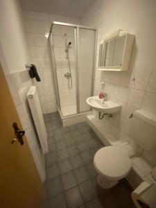 ein Bad mit einem WC, einer Dusche und einem Waschbecken in der Unterkunft Margarethenhof in Sankt Margarethen