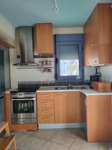 a kitchen with wooden cabinets and a sink and a window at Philos House in Agiokampos +22 photos
