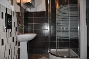a bathroom with a shower and a sink and a toilet at Apartament Sopot Andre in Sopot