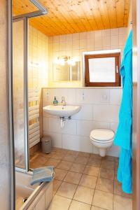 a bathroom with a sink and a toilet and a shower at 4-Bettzimmer Sächsische Schweiz in Mittelndorf