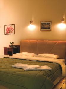 ein Schlafzimmer mit einem Bett mit einer grünen Decke in der Unterkunft Egnatia Hotel in Ioannina