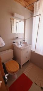 uma casa de banho com um lavatório, um WC e um espelho. em Résid. La Bruyère 18 em Champoussin