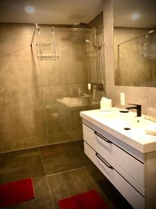 y baño con lavabo y ducha. en Hotel Barth en Kaiserslautern