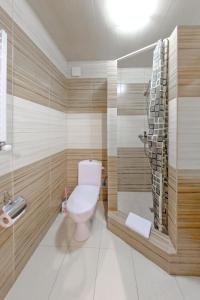 un bagno con wc e doccia di Villa Anet a Bukovel