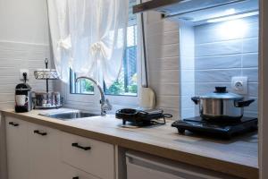 Virtuvė arba virtuvėlė apgyvendinimo įstaigoje Isidorou Suite Xanthi