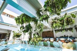 a room with chairs and plants hanging from the ceiling at Vila Reyna in Constanţa