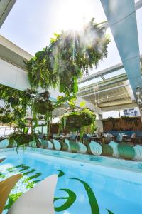 a swimming pool with chairs and plants in a building at Vila Reyna in Constanţa