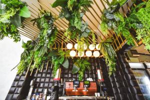a bar with plants hanging from the ceiling at Vila Reyna in Constanţa