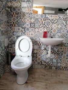 een badkamer met een toilet en een wastafel bij Apartmán se zahradou pro dvě osoby v turisticky oblíbené lokalitě in Weisswasser in Böhmen