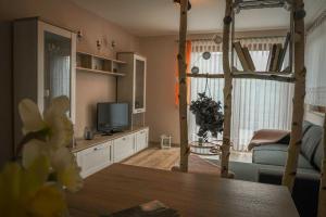 Bahretal的住宿－Fewo Hellerswiesen Arbeiterunterkunft，一间带床和电视的客厅
