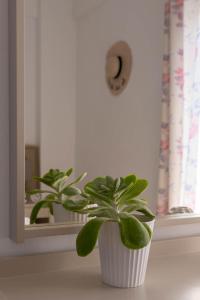 una planta en una olla blanca sentada en un alféizar de la ventana en Marie Κelly Apartments, en Gouves