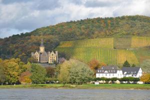 a castle on a hill next to a body of water at Hotel Zur Mühle in Bad Breisig