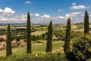 a row of cypress trees on a golf course at Agriturismo Percenna in Buonconvento