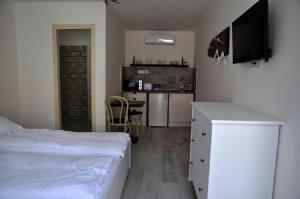 Kuchyň nebo kuchyňský kout v ubytování River Apartment