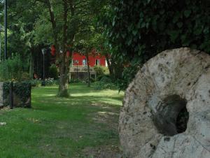 Zahrada ubytování Hotel Zur Mühle