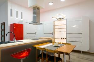 Kuchyňa alebo kuchynka v ubytovaní Luxusní velký apartmán s terasou v centru Litomyšle