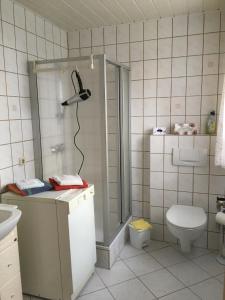 a bathroom with a shower and a sink and a toilet at Hirtenrasen 52A in Lindewerra