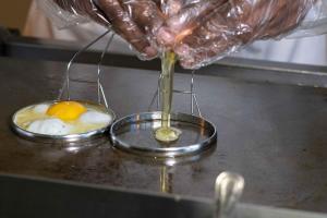 une personne ajoutant un œuf à un bol de nourriture dans l'établissement Big Valley Game Lodge, à Lobatse