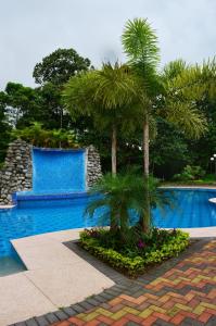 ein Pool mit zwei Palmen daneben in der Unterkunft Club del Campo - Hotel & Centro de Convenciones in Santo Domingo de los Colorados