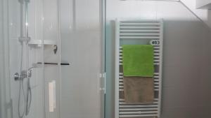 una ducha con una toalla verde en un toallero en La Grange du Héron, en Balaguier-dʼOlt