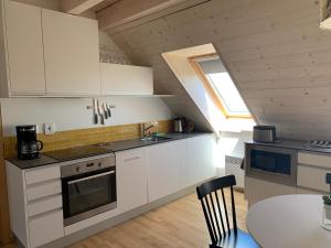 Eldhús eða eldhúskrókur á Stylový apartmán č. 8 U Venuše, Pavlov u Mikulova