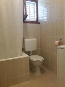 a bathroom with a toilet and a tub and a window at Goga apartment in Petrcane +9 photos