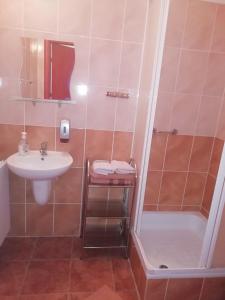 a small bathroom with a sink and a shower at Hotel Fregata in Pęczniew +14 photos