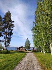 a gravel road leading to a house and a tree at Kipinä Lomat - Majatalo Kipinä in Sotkamo